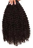 Jazzy kinky curly 4a/4b